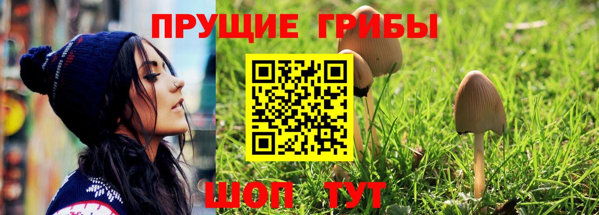 Псилоцибиновые грибы Magic Shrooms  Вход с VPN  Нефтекамск 